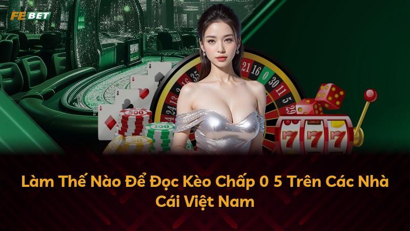 Làm Thế Nào Để Đọc Kèo Chấp 0 5 Trên Các Nhà Cái Việt Nam