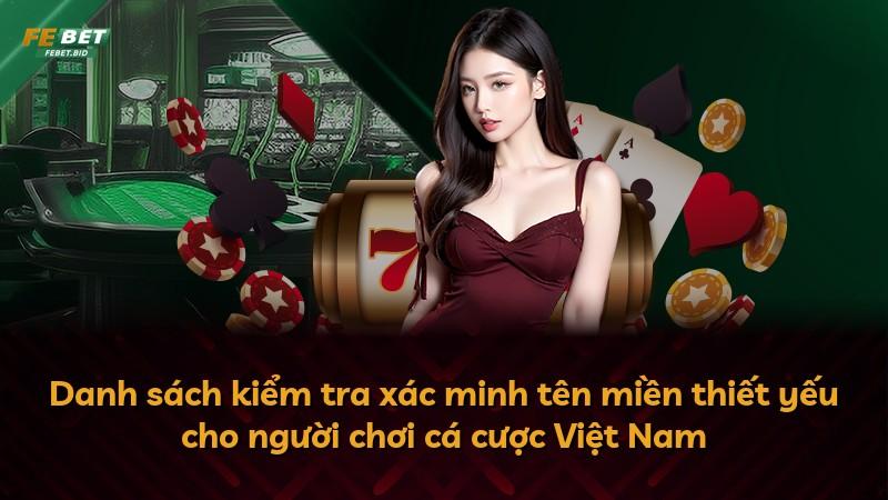 Danh sách kiểm tra xác minh tên miền thiết yếu cho người chơi cá cược Việt Nam